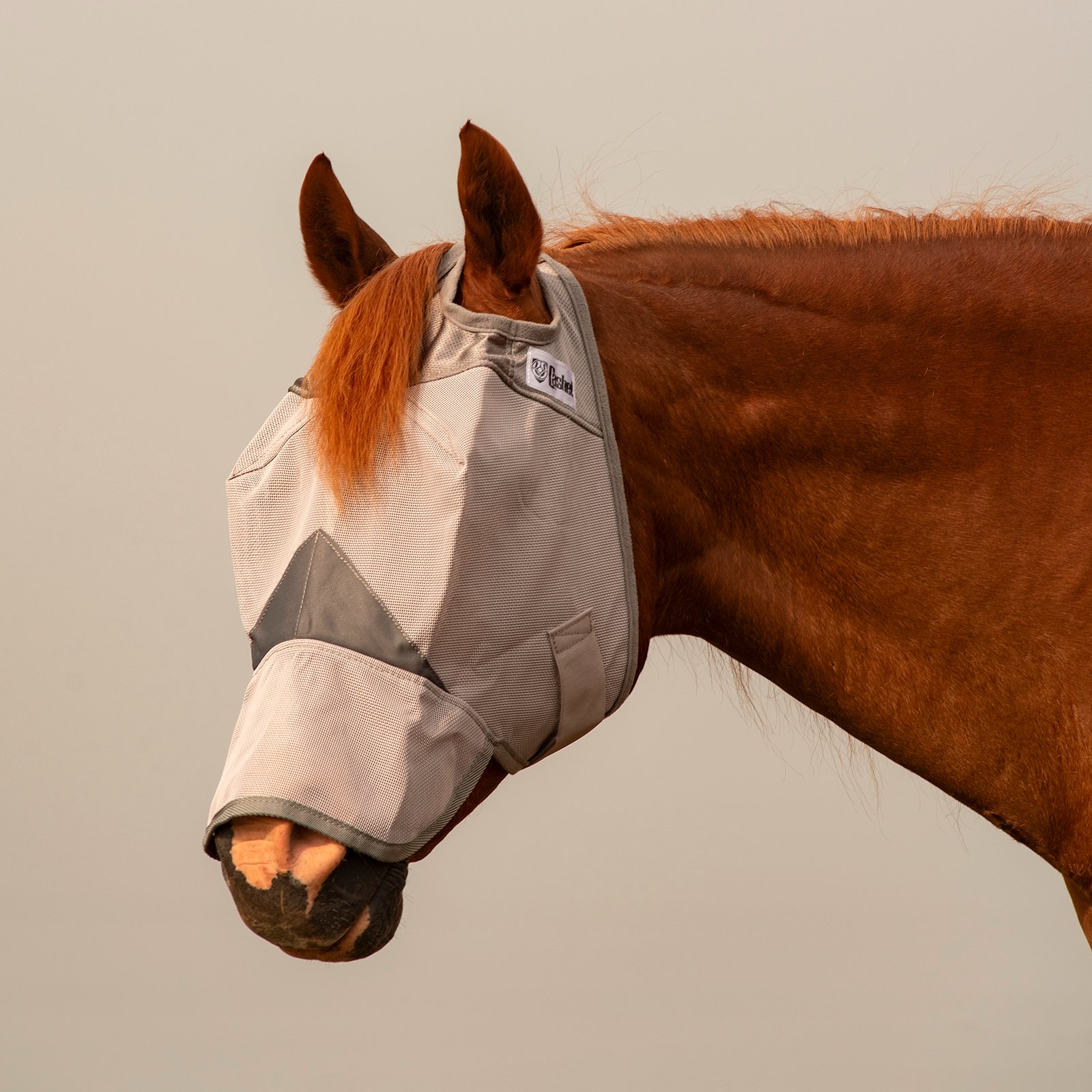Crusader Fly Mask Long Nose